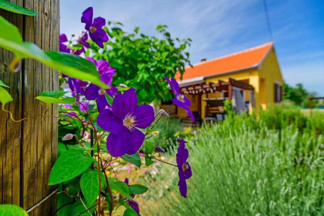 Sunny House Villa Smokovic Exterior photo